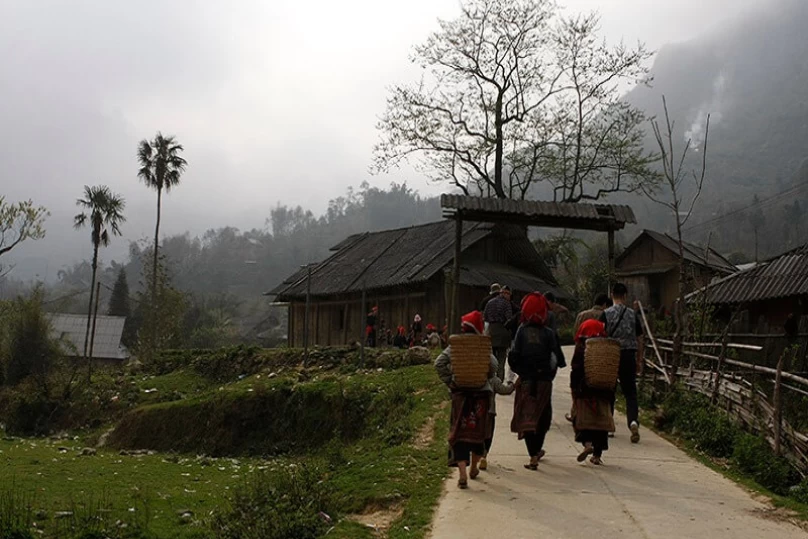 Lao Cai - Sapa – Suoi Ho – Giang Cha – Saxeng Villages: Authentic Rice Terrace Exploration