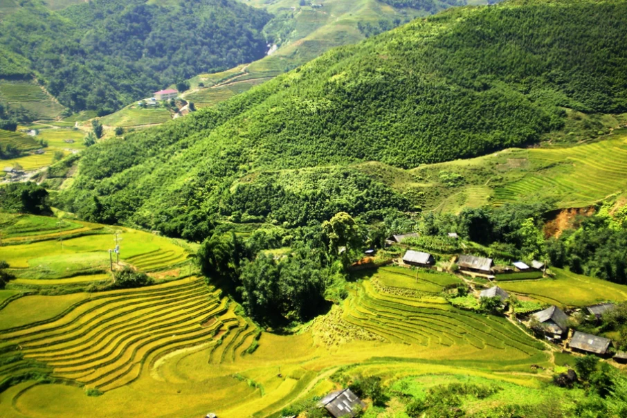 muong-hoa-valley2