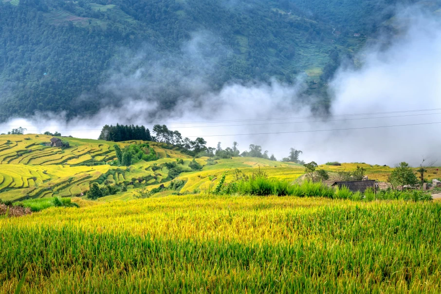 Vietnam is one of the ideal travel destinations in Asia