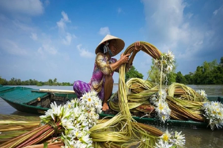 5-amazing-dishes-that-you-have-to-try-once-taking-tours-to-Mekong-Delta-in-Vietnam5
