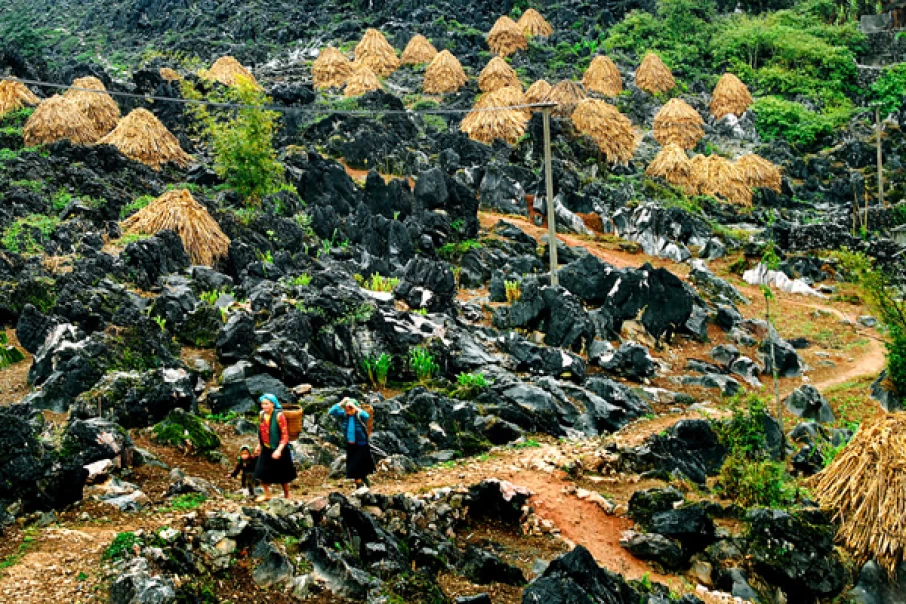 Discover-The-Endless-Beauty-of-The-Northern-Vietnam2-1