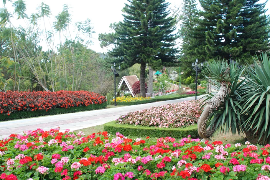 Explore-the-Dalat-Flower-Garden