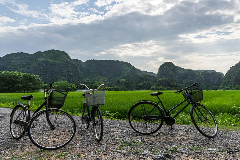 Ninh Binh- Phat Diem/ Kenh Ga- Cuc Phuong National Park