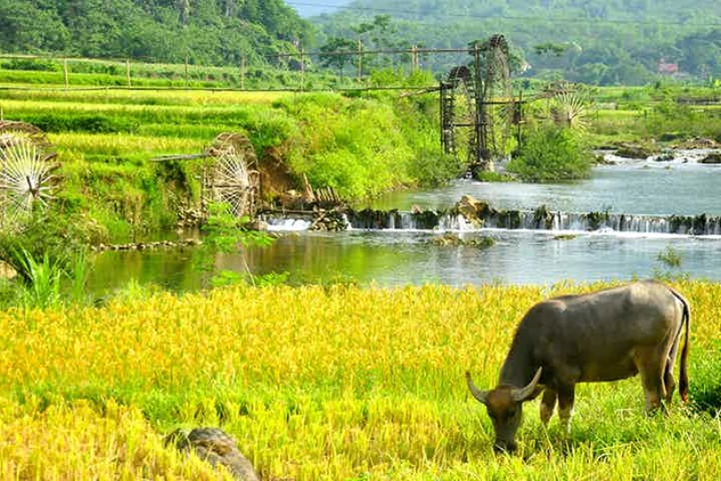 Hanoi – Phu Luong Nature Reserve