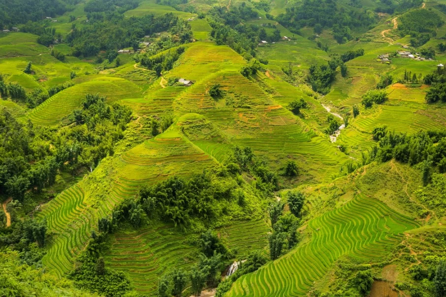 Rice-farms-and-tribal-villages.-Sapa-Vietnam.