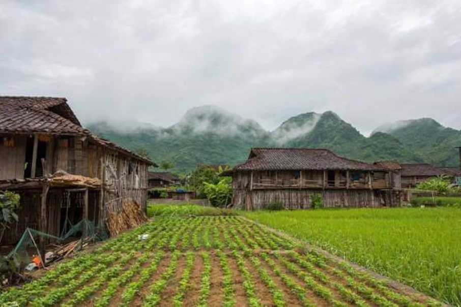 Stilt-houses-in-Quynh-Son-Cultural-Village-Bac-Son-Lang-Son