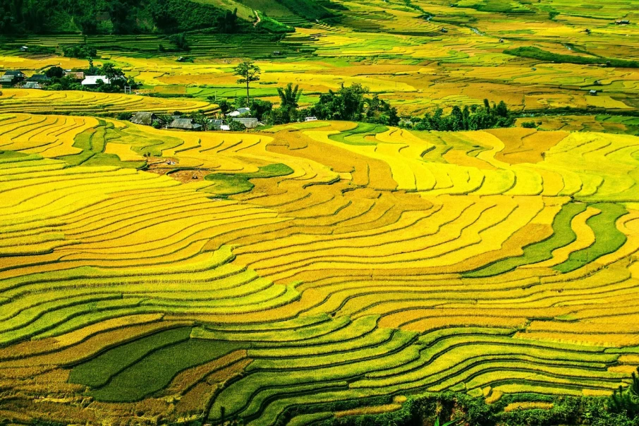 Unending-Beauty-of-Mountainous-Northwest-Vietnam-in-Autumn1