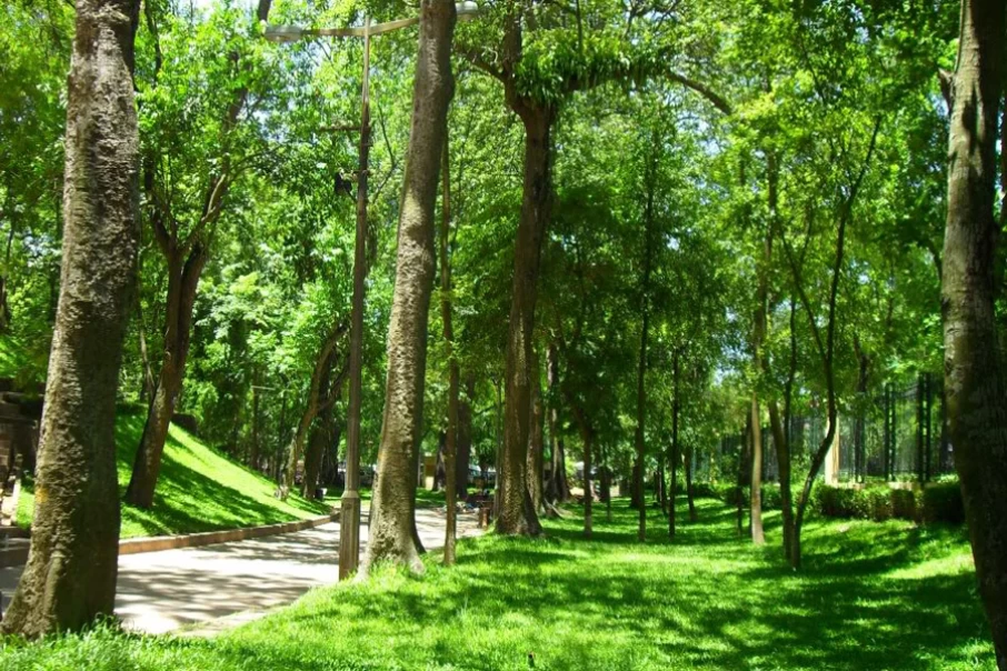hanoi-botanical-garden
