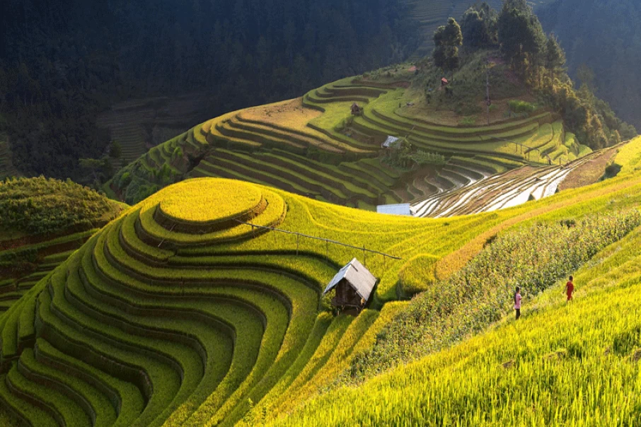mu-cang-chai-trekking-is-a-great-experience
