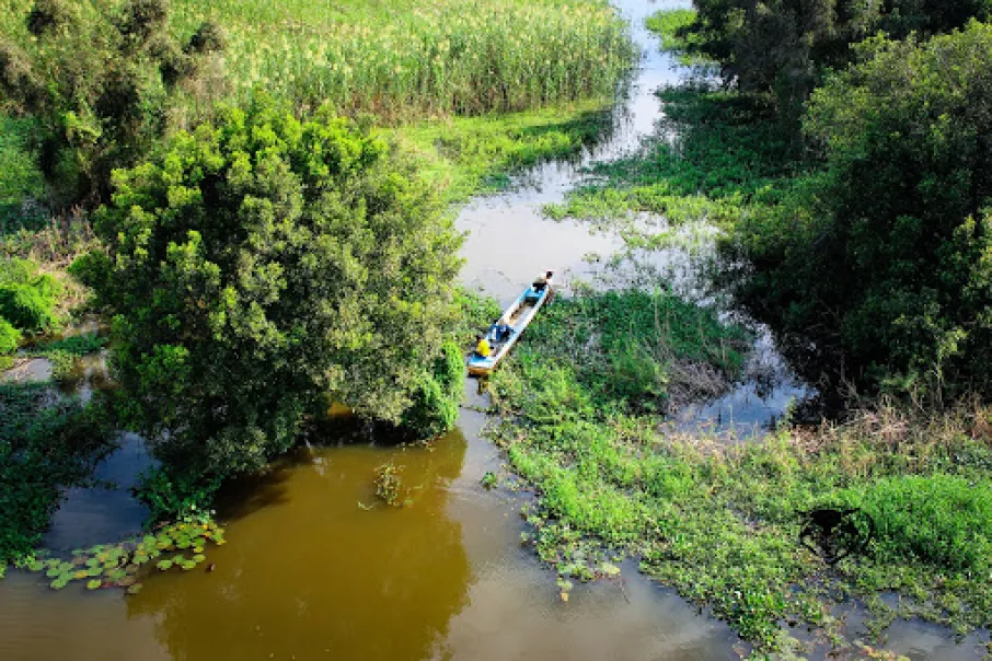 non-touristy-mekong-delta-tours-tram-chim-national-park