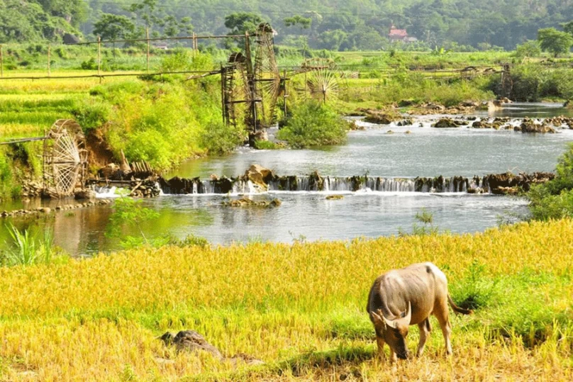 Trekking to Remote Rural Villages - Return to Hanoi