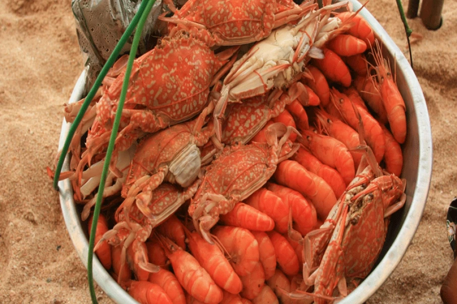 shrimps-hd-food-crabs-seafood-488435