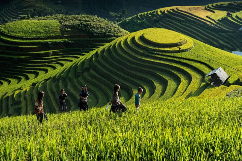 Mu Cang Chai Trekking Tours