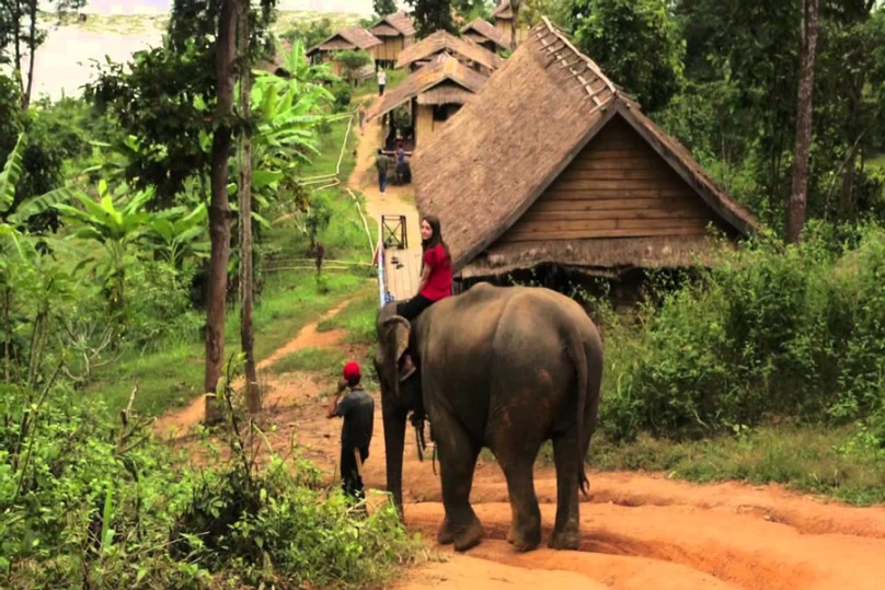 Chiang Mai - Elephant Camp - Overnight Train to Bangkok