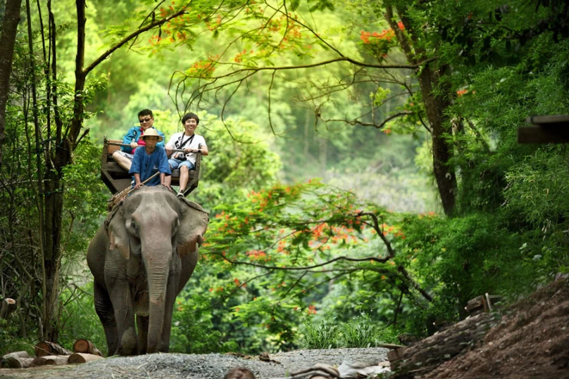 Elephant Safari at Mae Taeng - Ox-Cart Riding - Bamboo Rafting