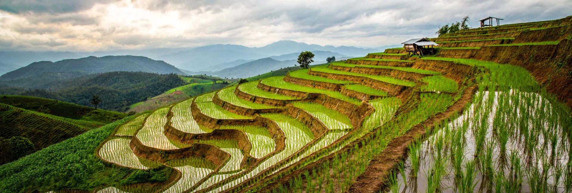 Mu Cang Chai – Sapa – Halong 9 Days