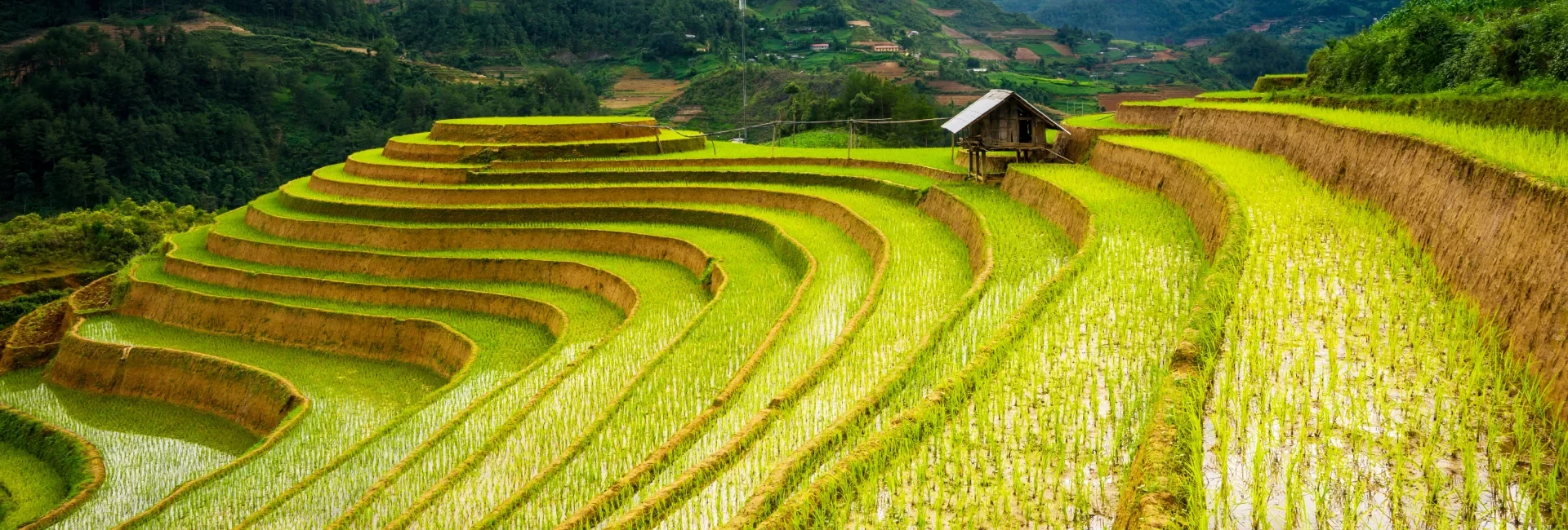  Discover the Best Ha Giang 4 Days