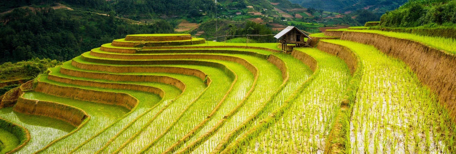 Discover the Best Ha Giang 4 Days