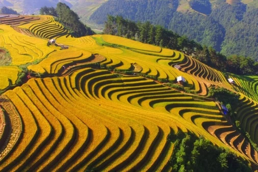 Perfect Mu Cang Chai Itinerary For Your Unforgettable Adventure
