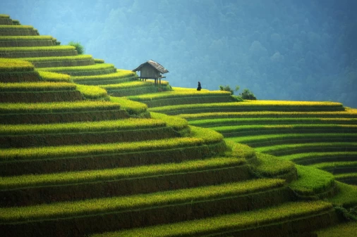 Top Things To Do In Mu Cang Chai: Adventures & Culture Await!