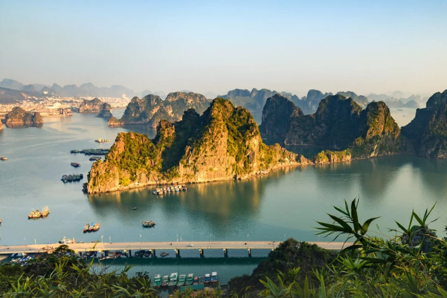 Choose Dragon Bay Cruise By Asia Tour Advisor