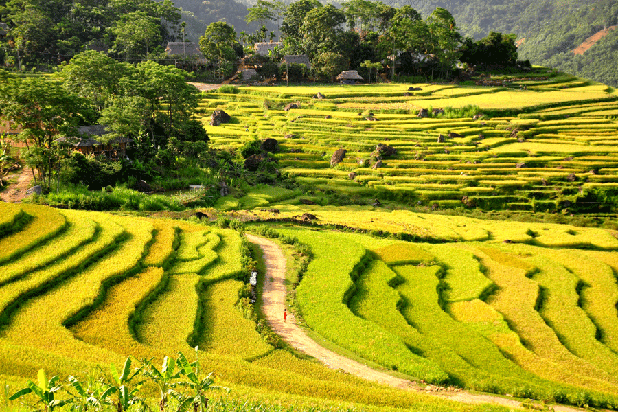 ba-muoi-village