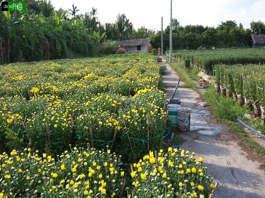 cai-mon-orchad-village