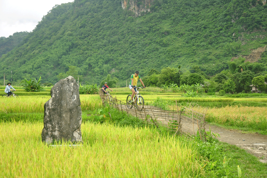 cycling-puluong