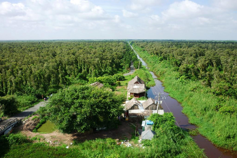 u-minh-ha-mangrove-forests-ca-mau