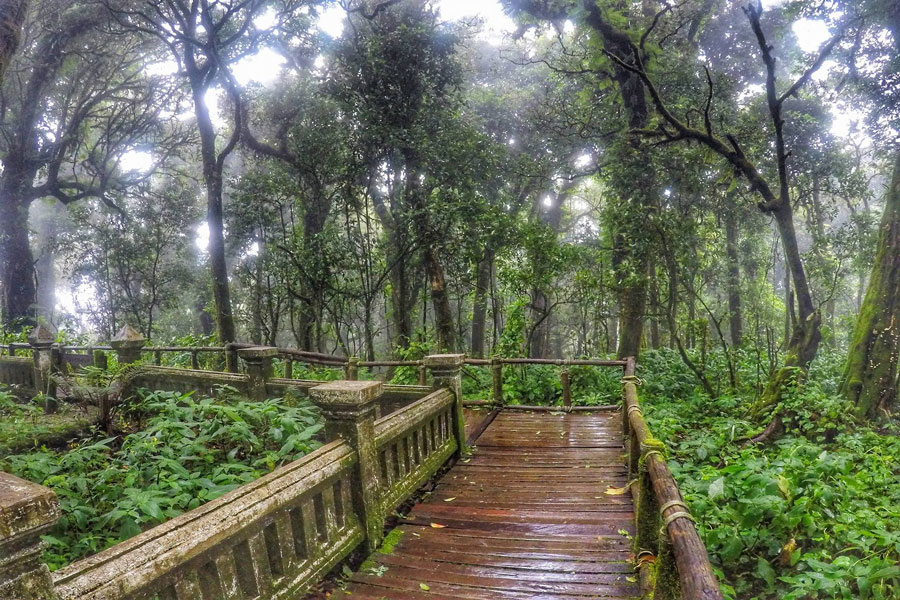 Thailand-Tour-Doi-Inthanon-National-Park