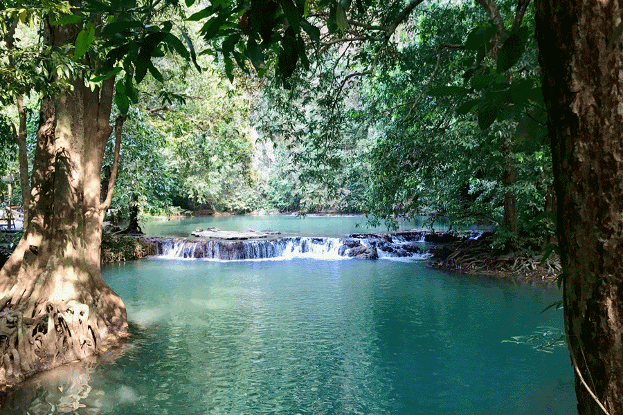 ao-luk-mangroves