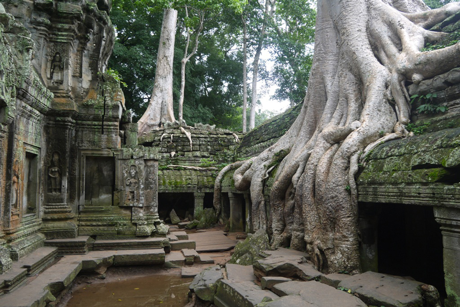 asiatouradvisor-ta-prohm