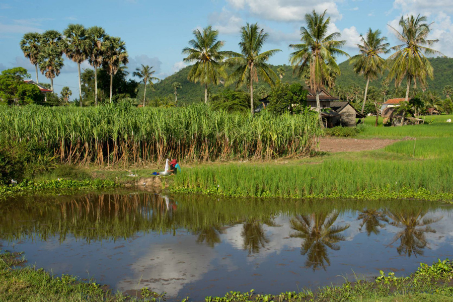 battambang1