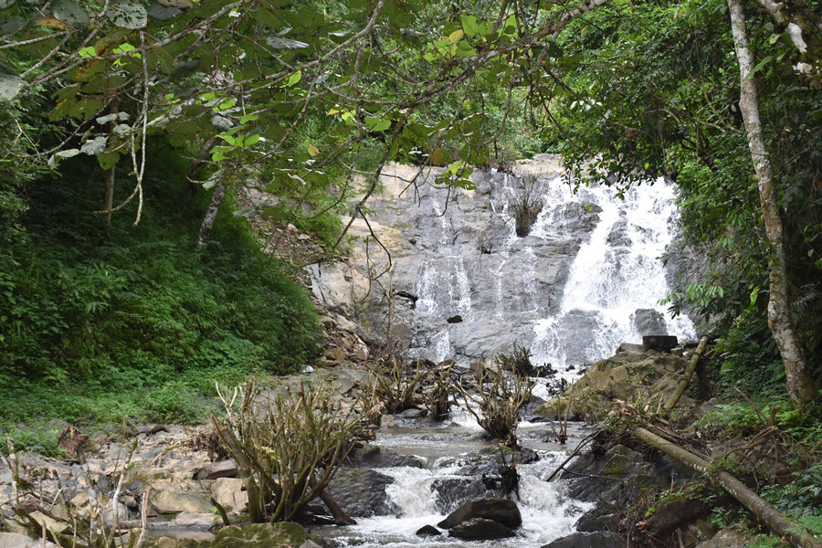 check-out-the-waterfalls