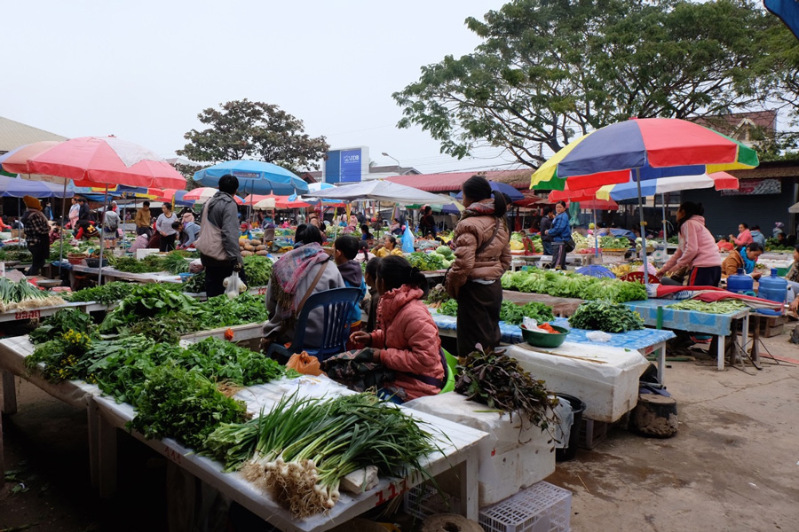 morning-market-in-luang-namtha