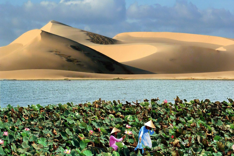 white-lake-lotus-lake