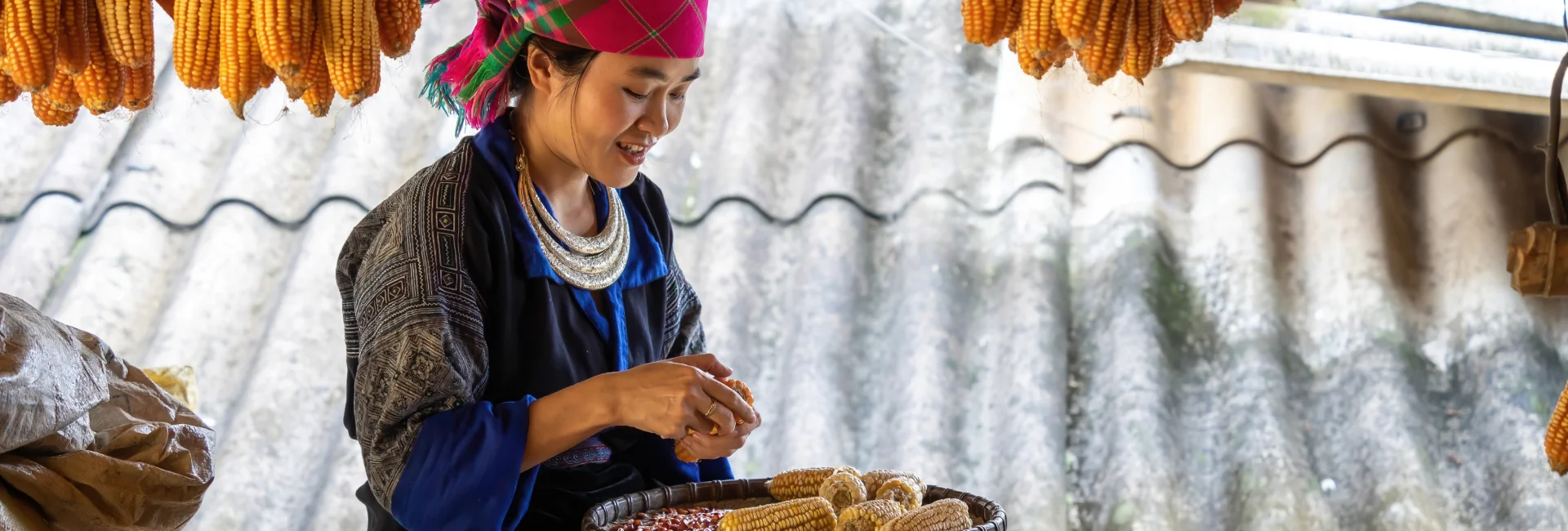 Discovery North – East Vietnam