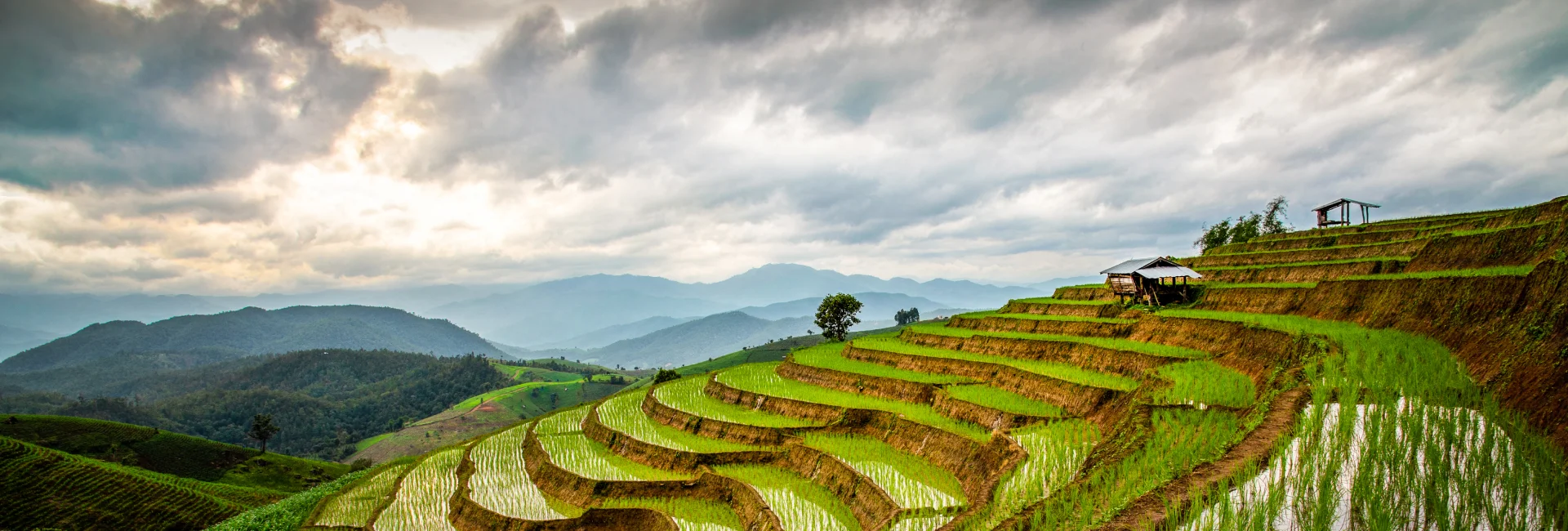 Ultimate Vietnam Adventure 15 Days
