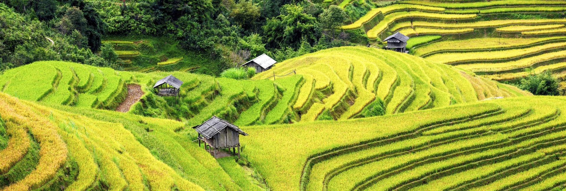 Sapa Adventure Tour 4 Nights