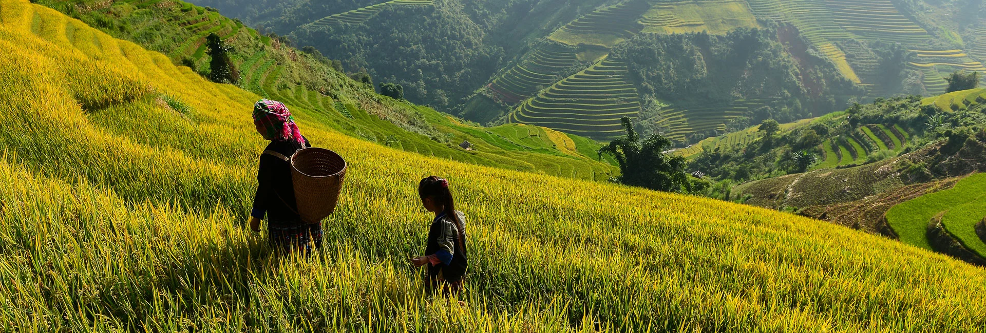 Vietnam Insight 14 Days